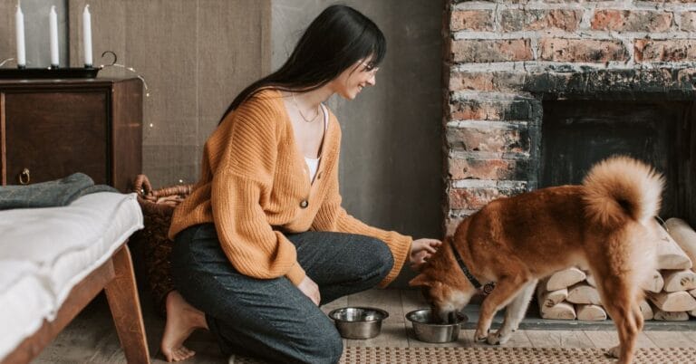 Why does my dog follow me everywhere