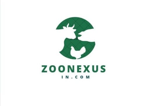 Zoonexusin Logo