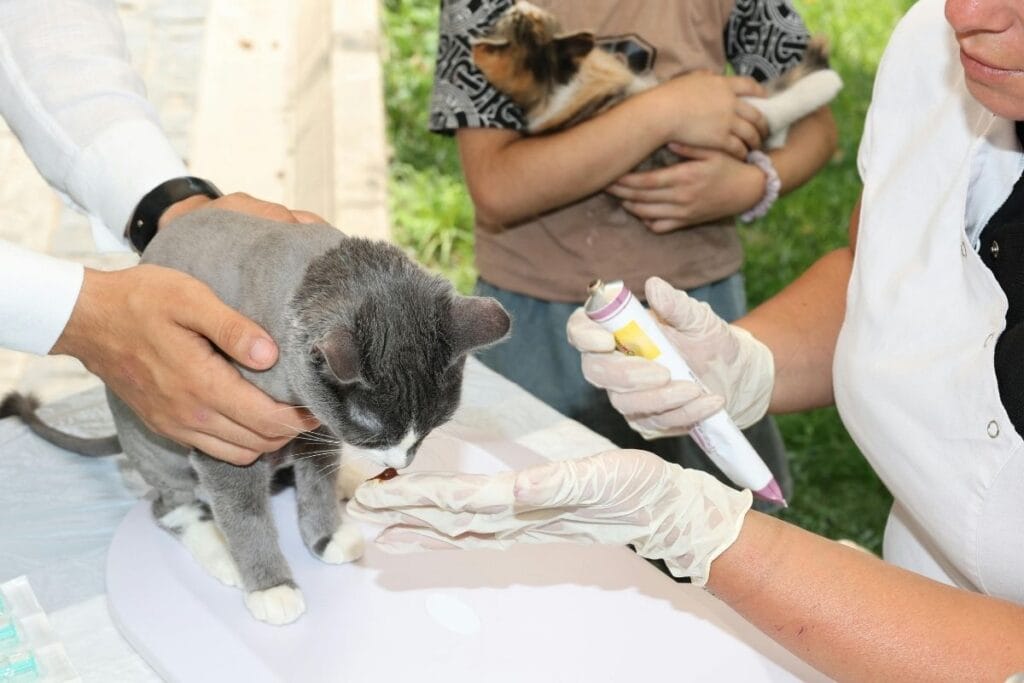 .Medication Side Effects