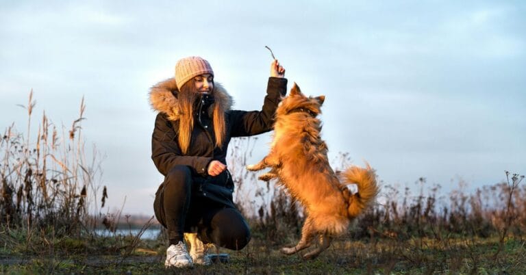 Dog playing with owner outdoors for dog names inspiration