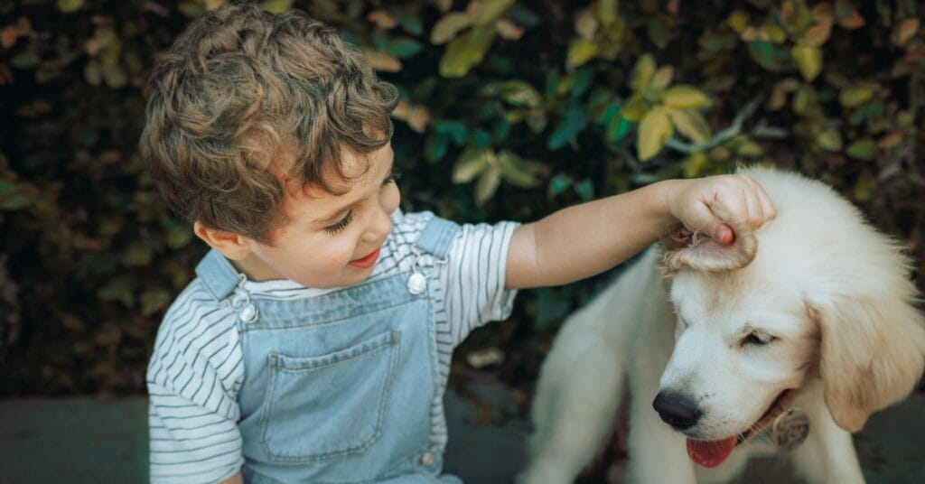 Little boy petting a cute puppy outdoors