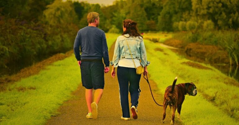 Dog Walking Tips
